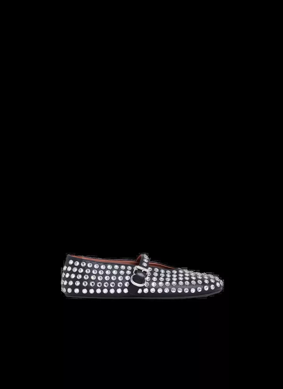 Ballet Flat