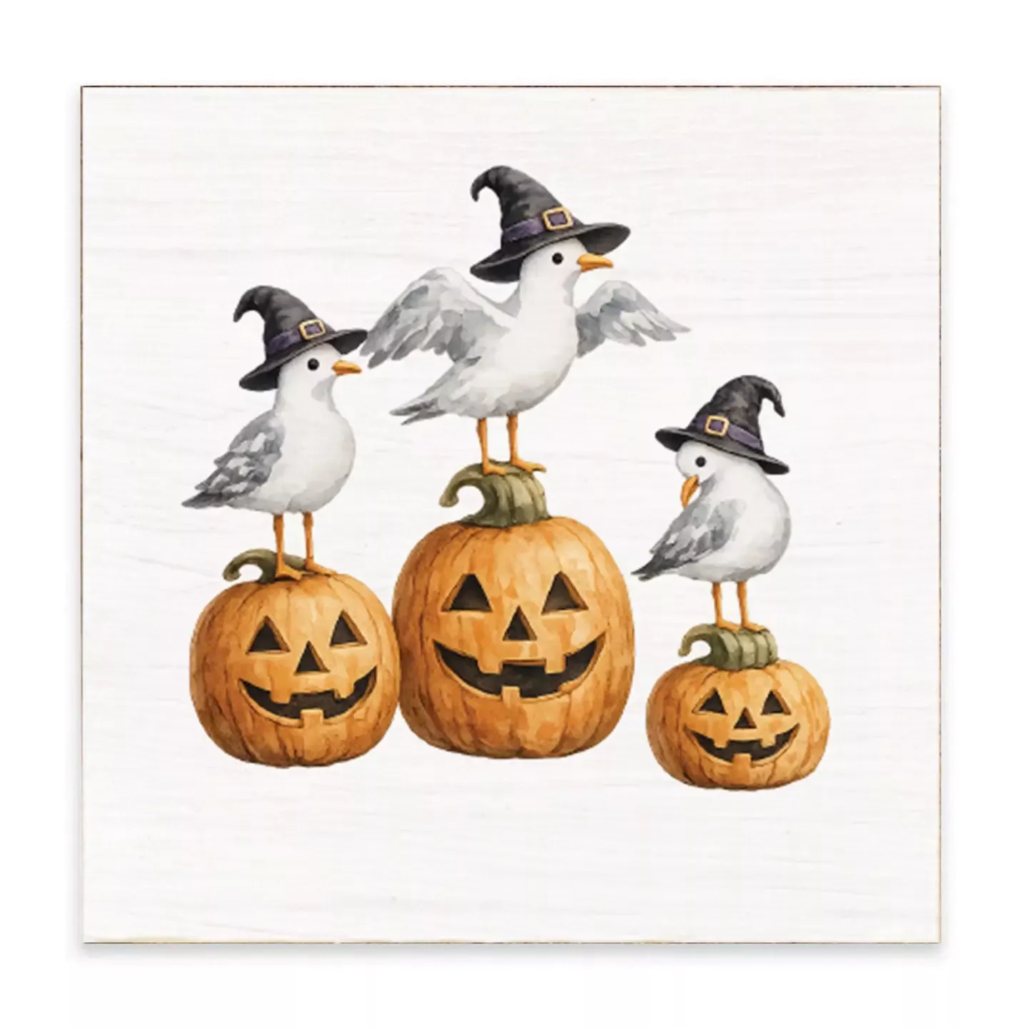 Block - Witch Seagulls