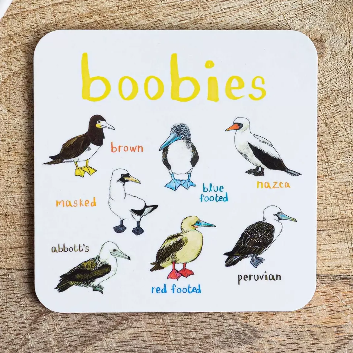 Coaster - Boobies