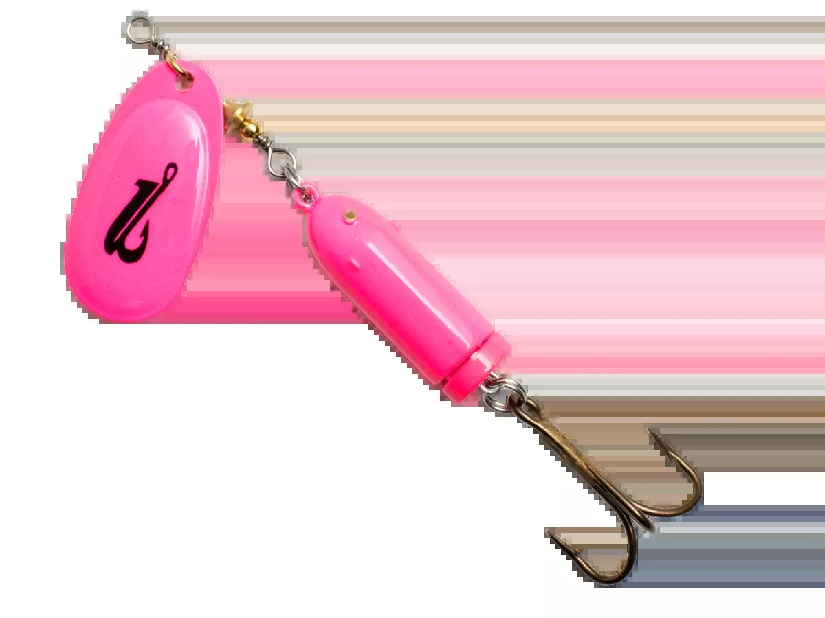 EBS Spinner 50