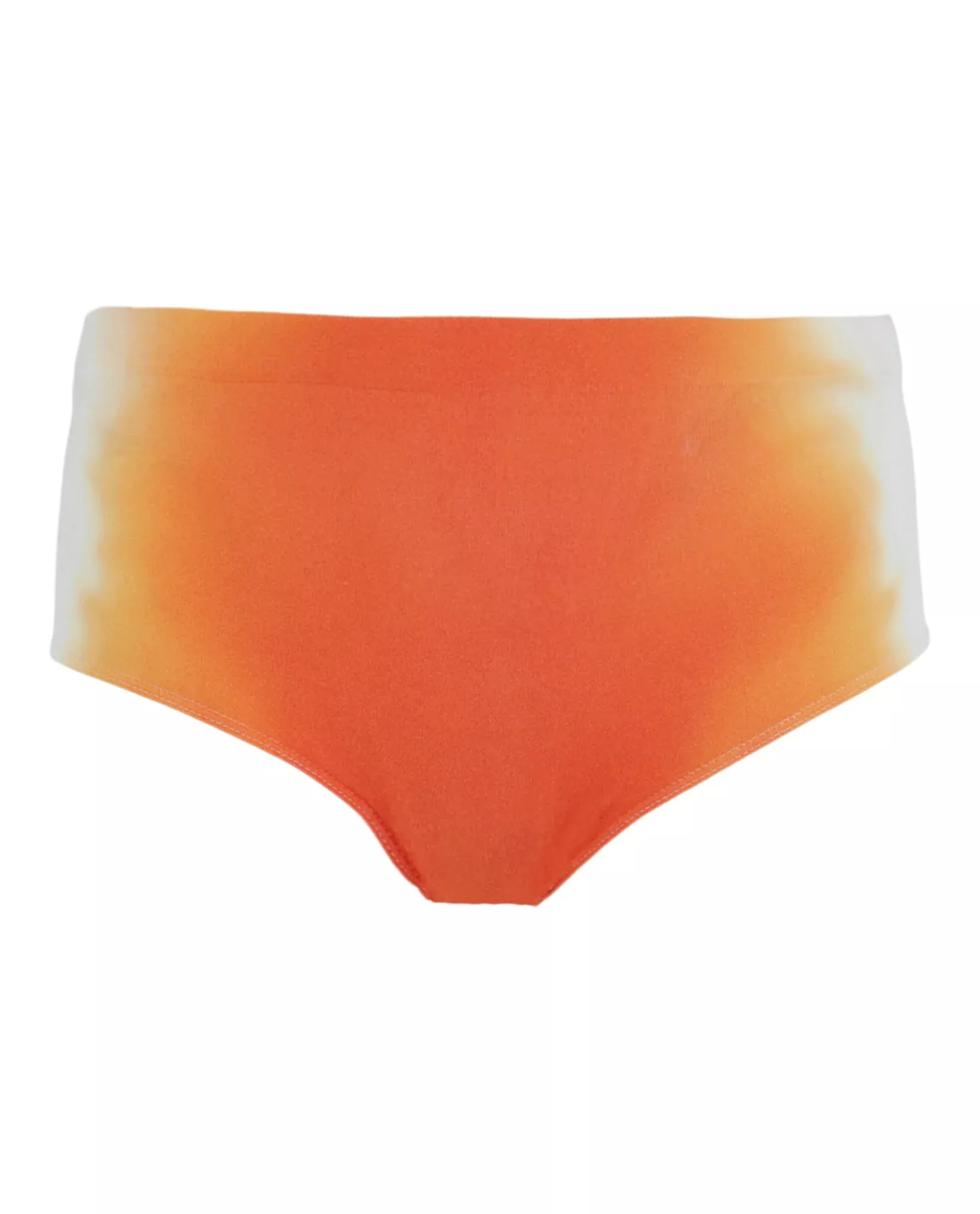 Ferragamo Womens Ombre Briefs