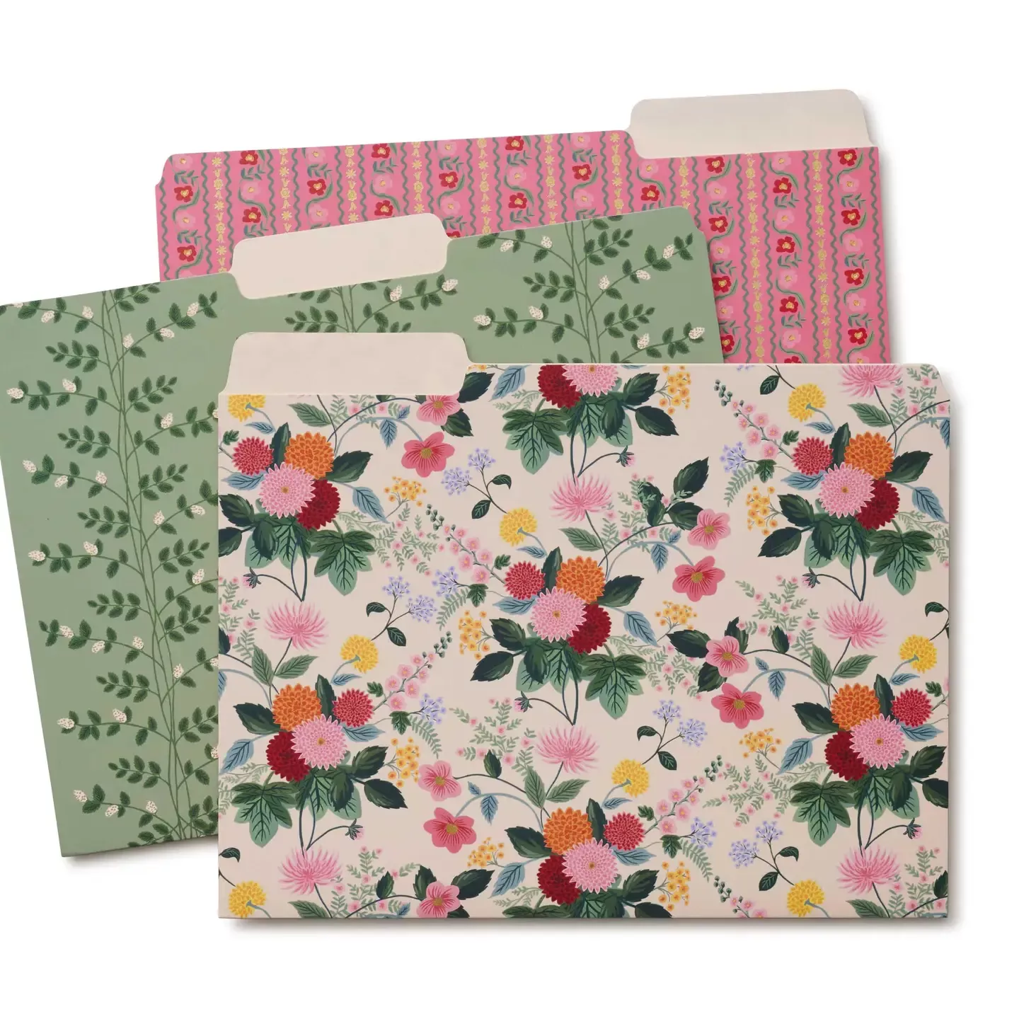 File Folders - Dahlia