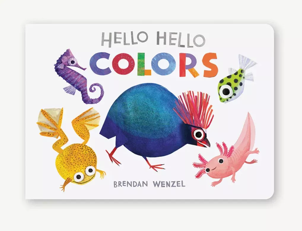 Hello Colors Board Book