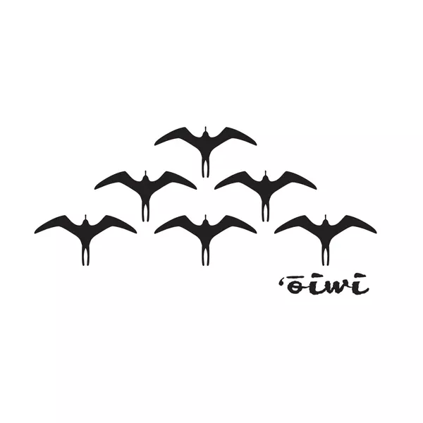 Iwa Birds sticker