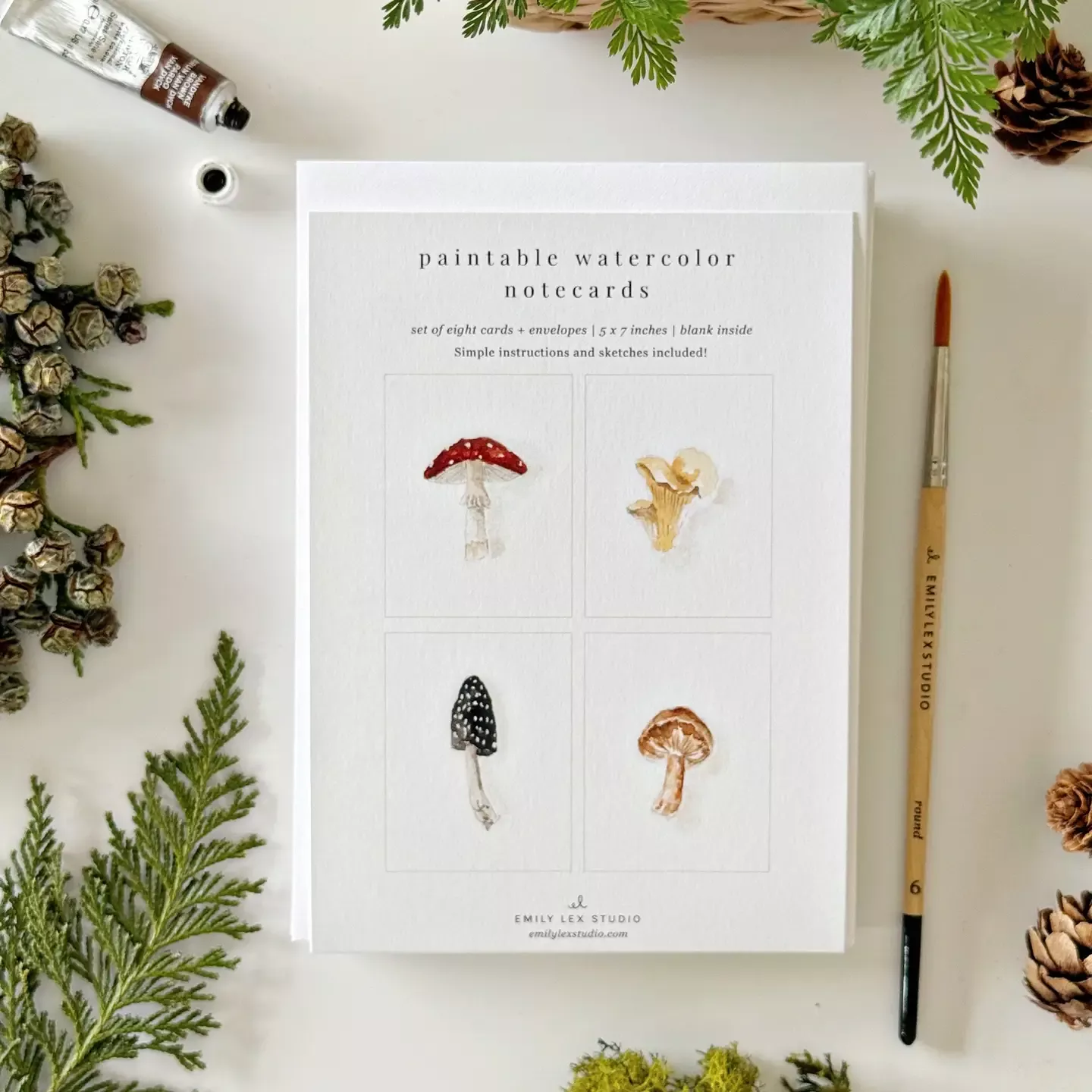 Mushroom Paintable Notecards