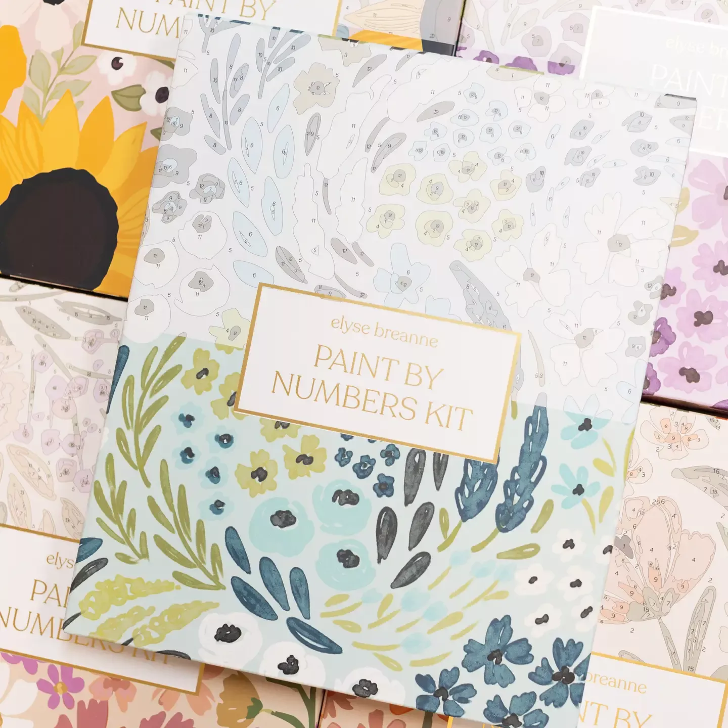 Paint By Numbers Kit