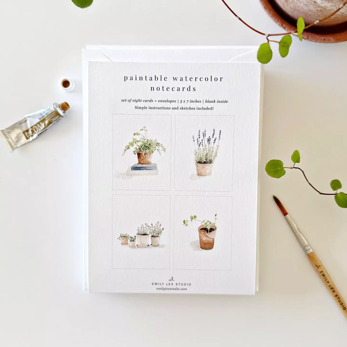 Potted Plants Paintable Notecards