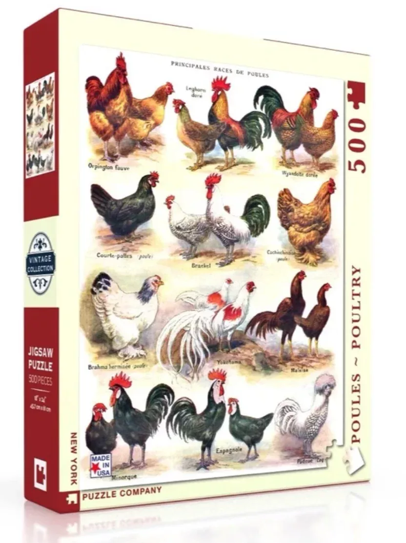 Poules ~ Poultry Puzzle