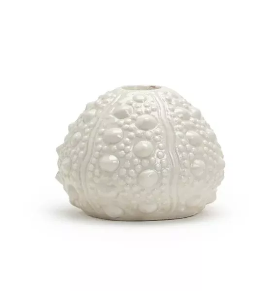 Sea Urchin Candleholder