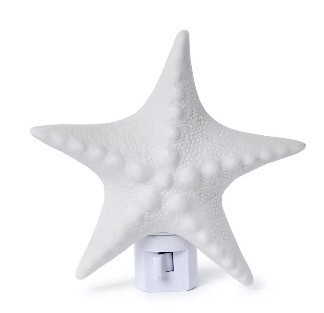 Seashell Nightlight