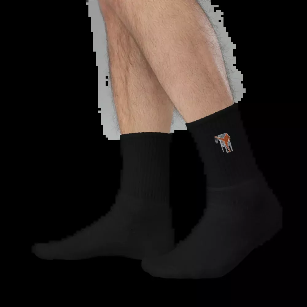 Silverball Swagger - Embroidered socks