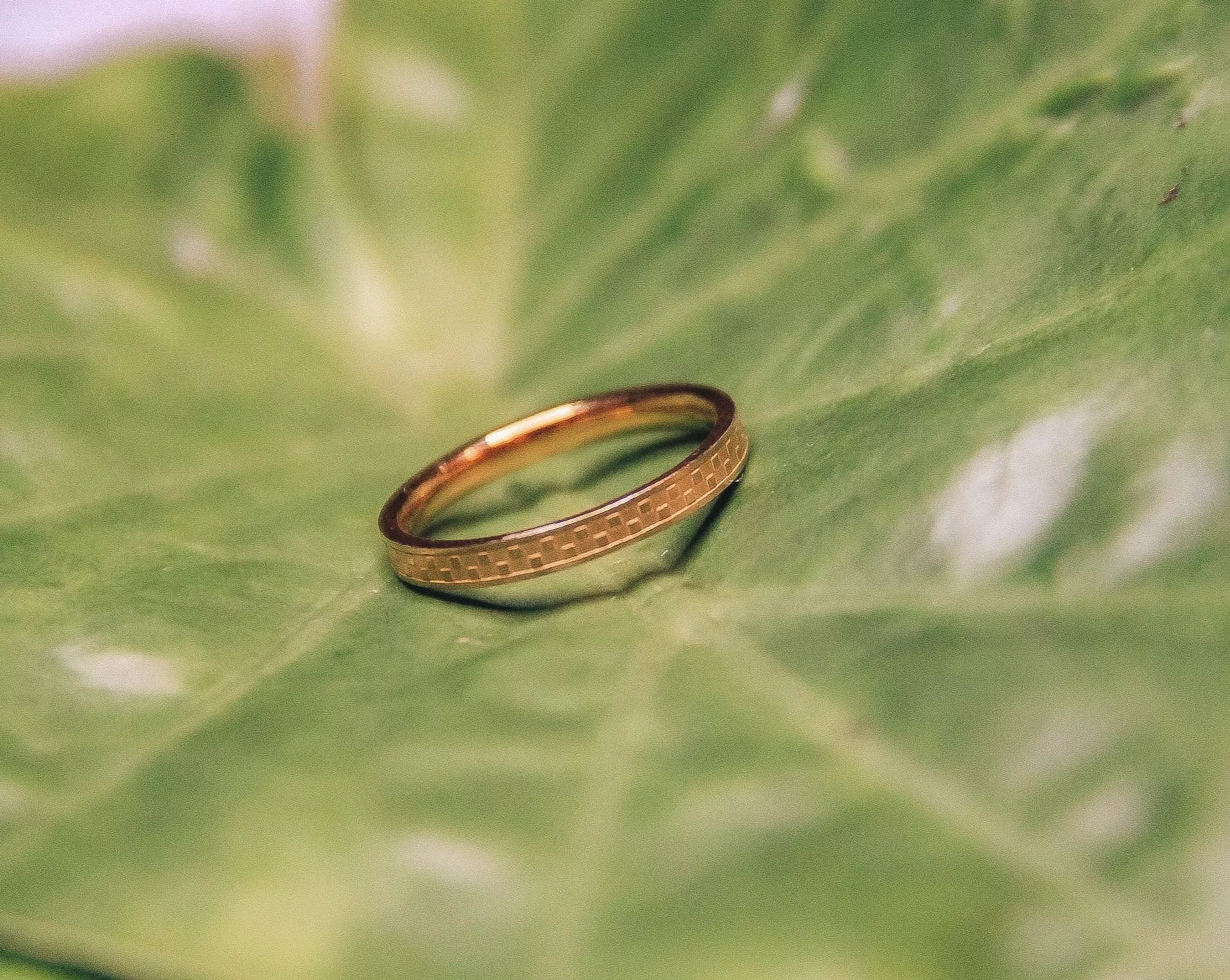 Taki Ring