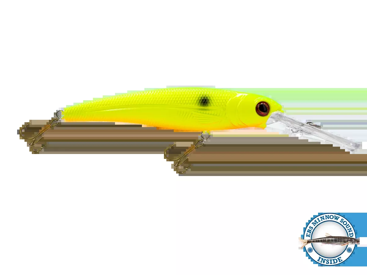 Voyager 15 Walleye